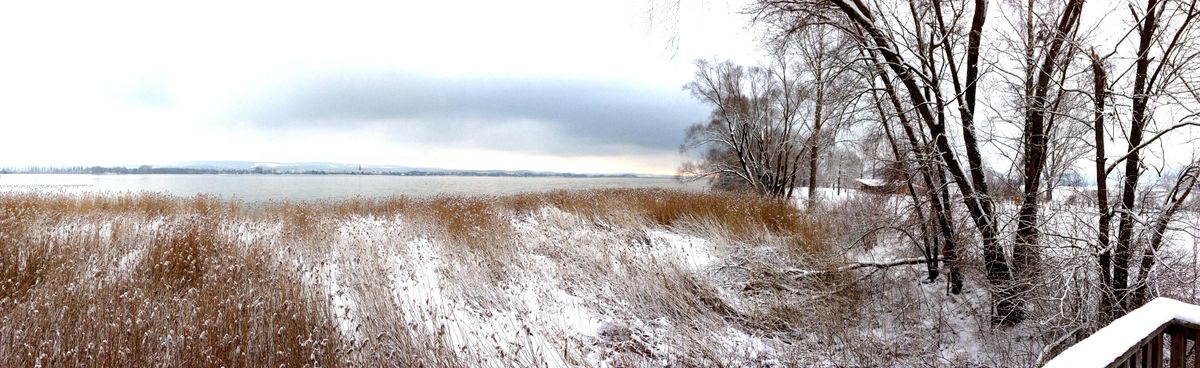 die schöne Halbinsel Höri im Winter