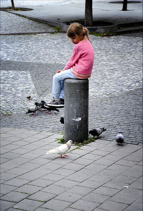 Petite fille et pigeons