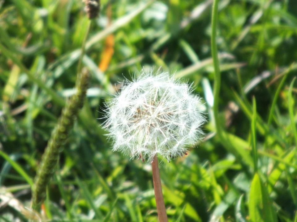 Captured on a beautiful Donegal day!