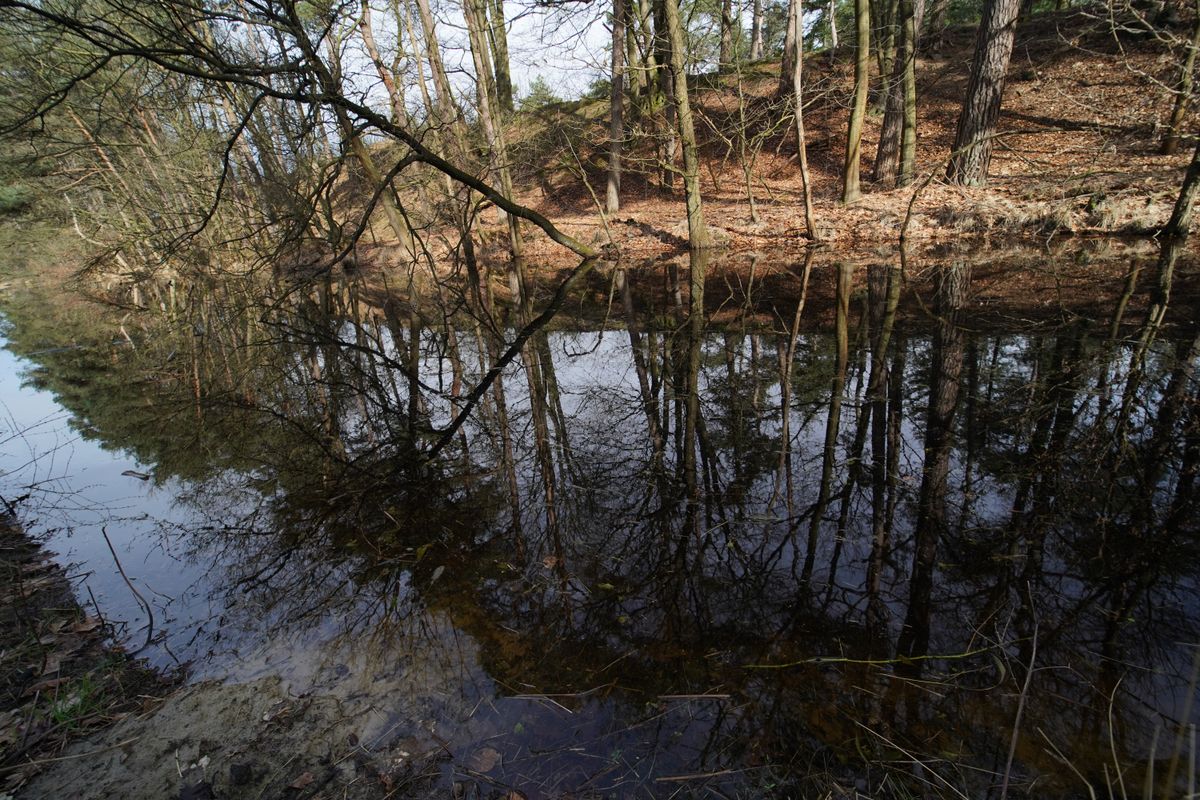 voorbeeld 1 Samyang 14mm