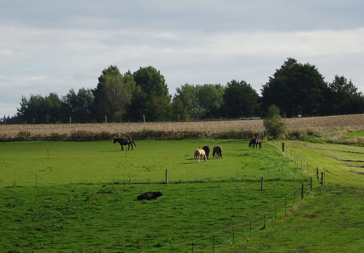 ...Natur zum erleben und genießen.