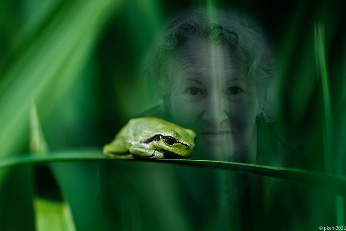 Zur Zeit auf Froschjagd mit der Kamera...